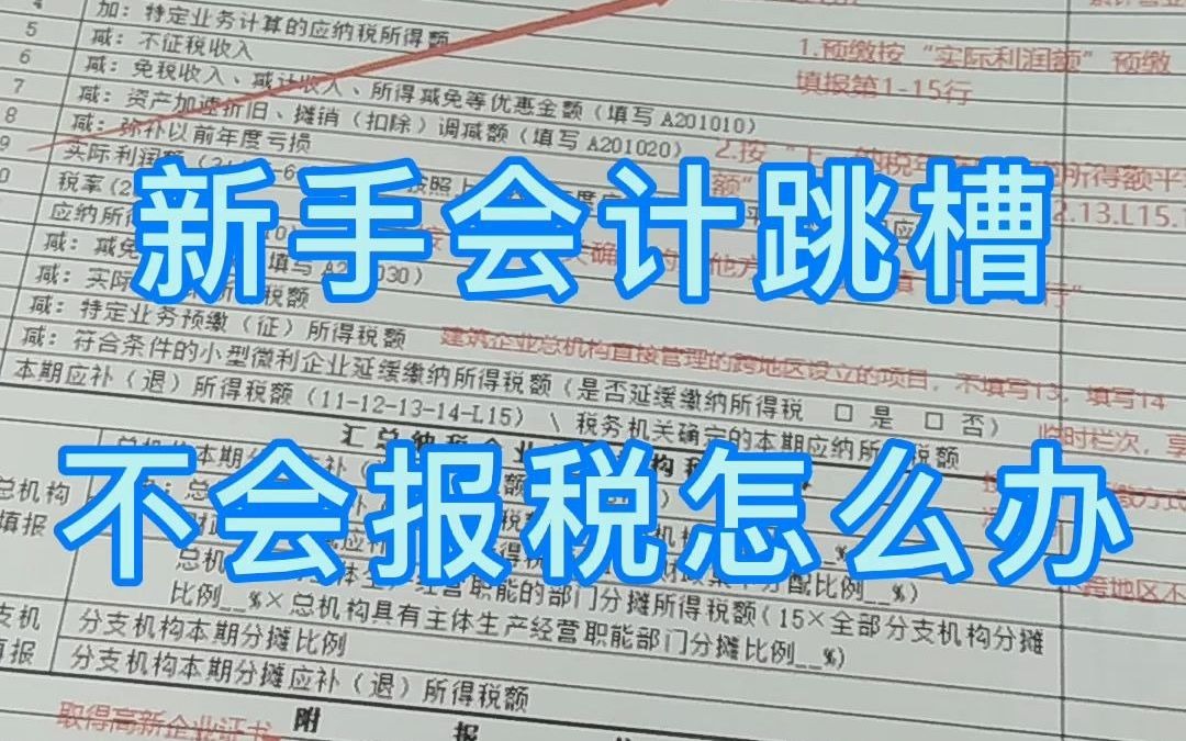 新手会计跳槽,不会报税怎么办?来,我教你怎么报税哔哩哔哩bilibili