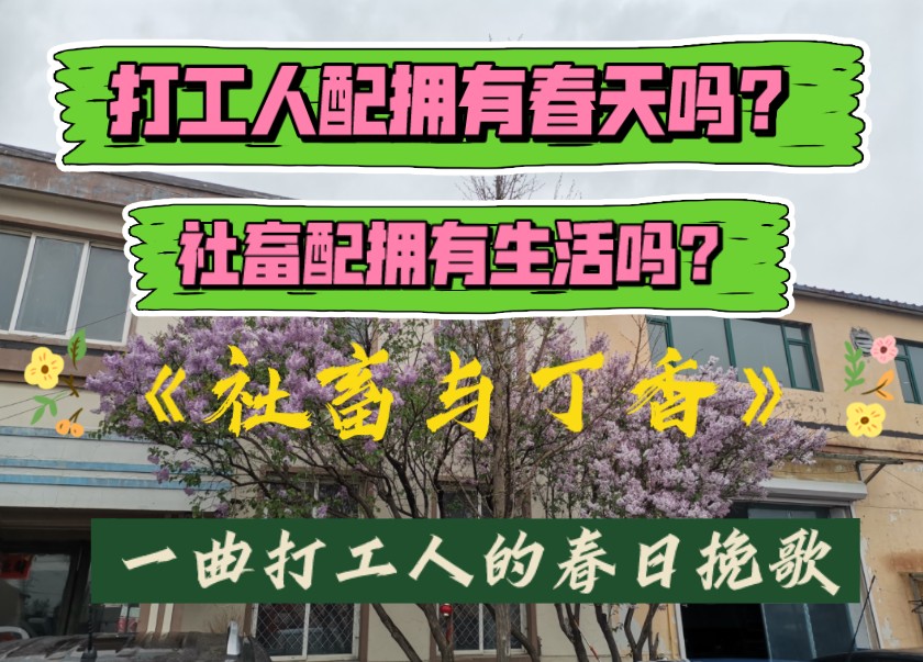 打工人配拥有春天吗?社畜配拥有生活吗?原创音乐《社畜与丁香》——一曲打工人的春日挽歌哔哩哔哩bilibili