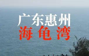 Descargar video: 【4K航拍】广东惠州“海龟湾”，惊涛拍岸，广东最美海岸之一