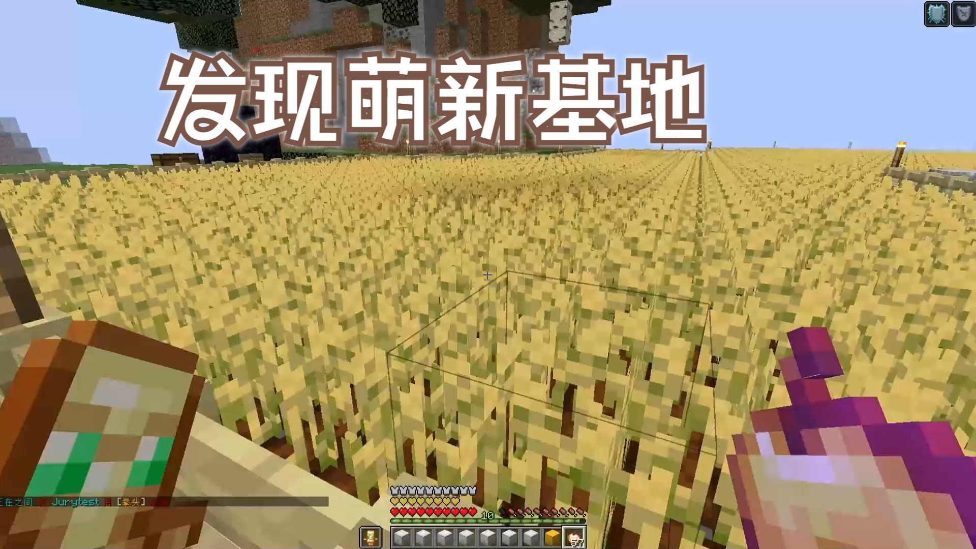 【2b2t.xin】发现萌新基地!大片小麦田我的世界