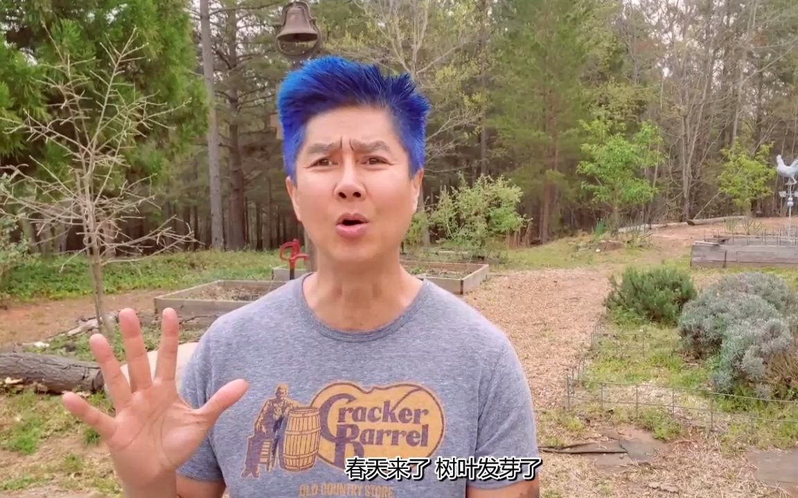 vansama 在美国打新冠疫苗是什么样的体验?