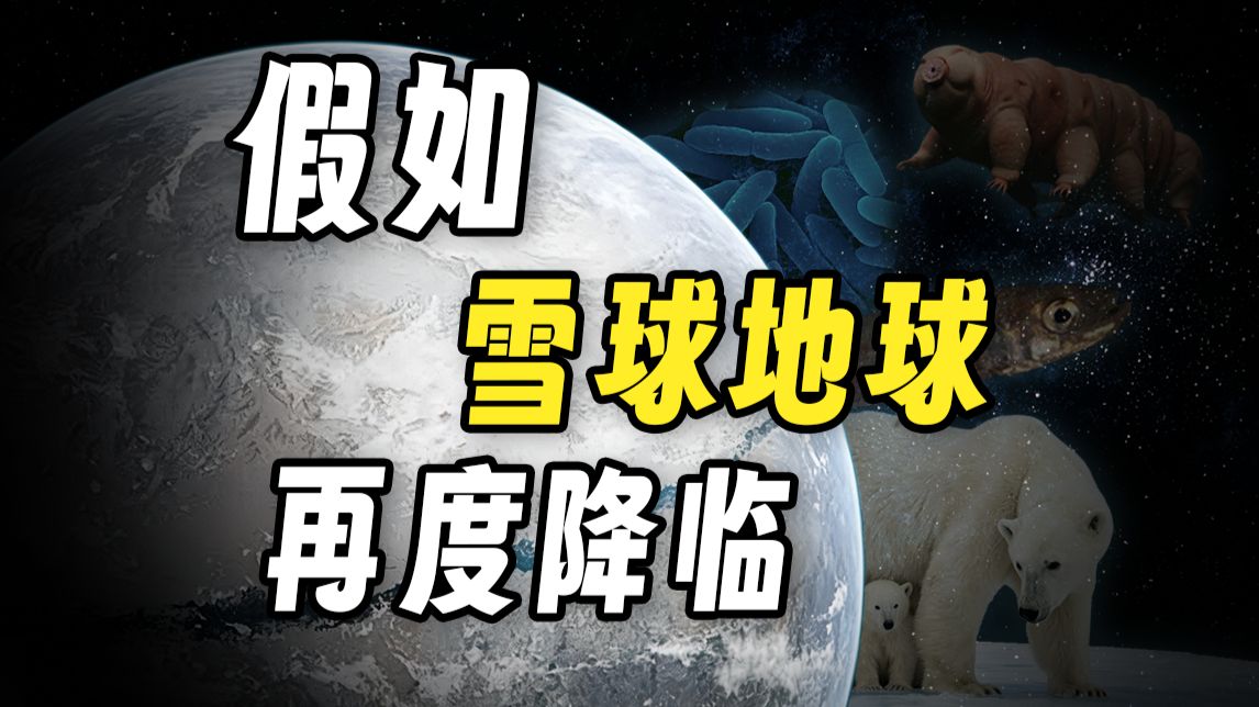 如果全球冰封，生命会变成啥样？