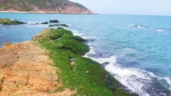 五一深圳周边自驾最美海滩，露营烧烤、赶海抓蟹、遛娃玩水，全都免费