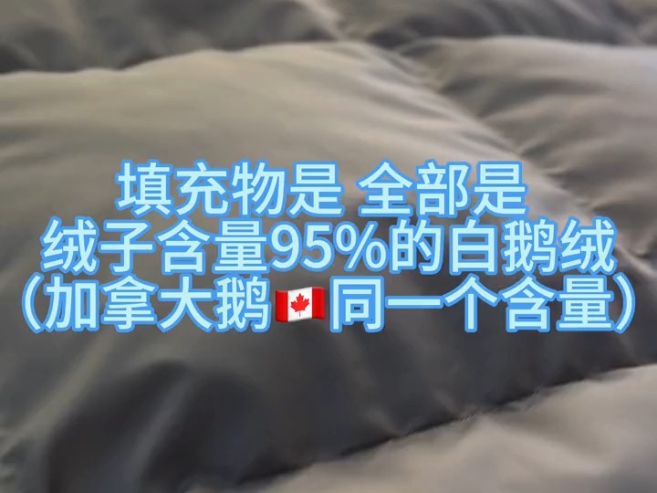 鹅绒被95白鹅绒富安娜鹅绒被富安娜家纺惠州博罗店 家纺床上用品 富安娜哔哩哔哩bilibili
