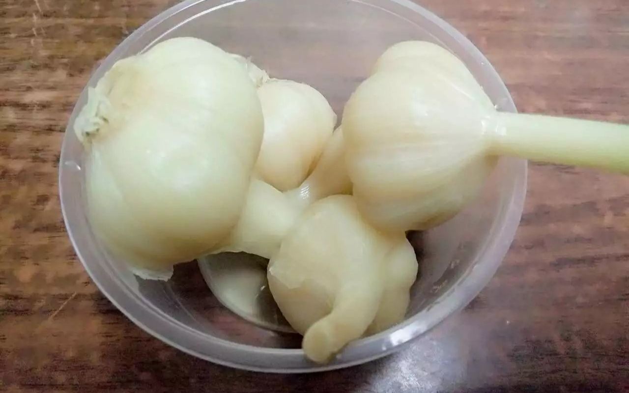 【今晚吃大蒜头!】_哔哩哔哩 (゜-゜)つロ 干杯~-bilibili