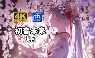 Download Video: 【初音未来 动态壁纸】胧月——朦胧春月下 思念随风飞散   Wallpaper Engine 自定义壁纸 媒体集成 音频感应 深度视差