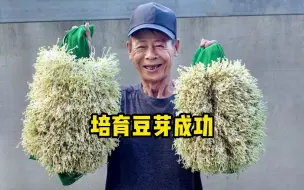 Video herunterladen: 一个培育豆芽的好方法，学会每天都有新鲜豆芽吃