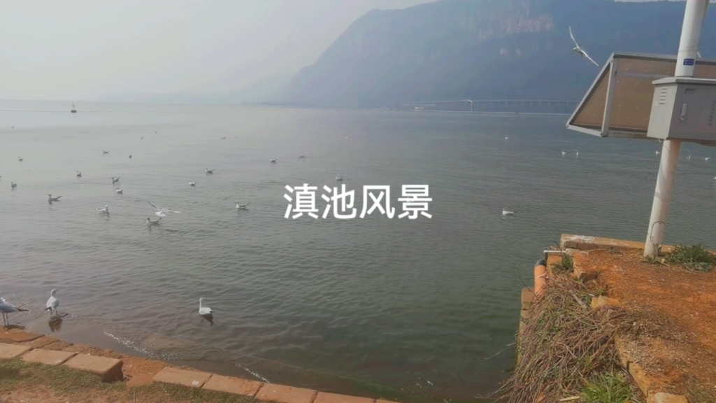 滇池美景,跟我一起去看风景哔哩哔哩bilibili