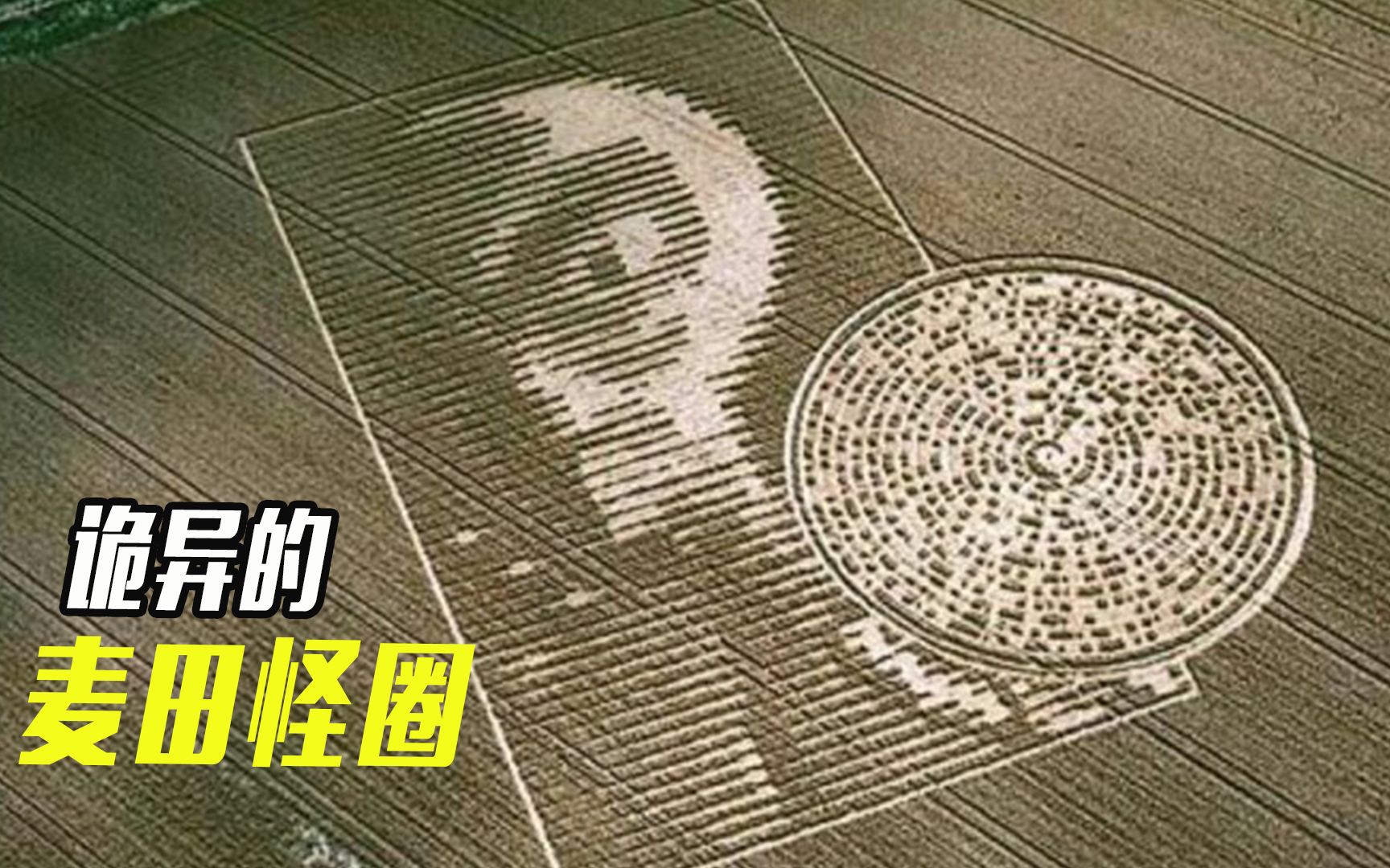 诡异的麦田怪圈出现原因成谜到底隐藏了怎样的秘密