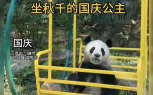 Télécharger la video: 坐秋千吃饭的熊猫国庆，小朋友的生活就是快乐。看奶爸宠溺的声音，没错国庆就是那个喝奶喝到三岁才戒奶的妈宝女。它的妈妈是梅清梅贵妃，在长隆开启养老生活了