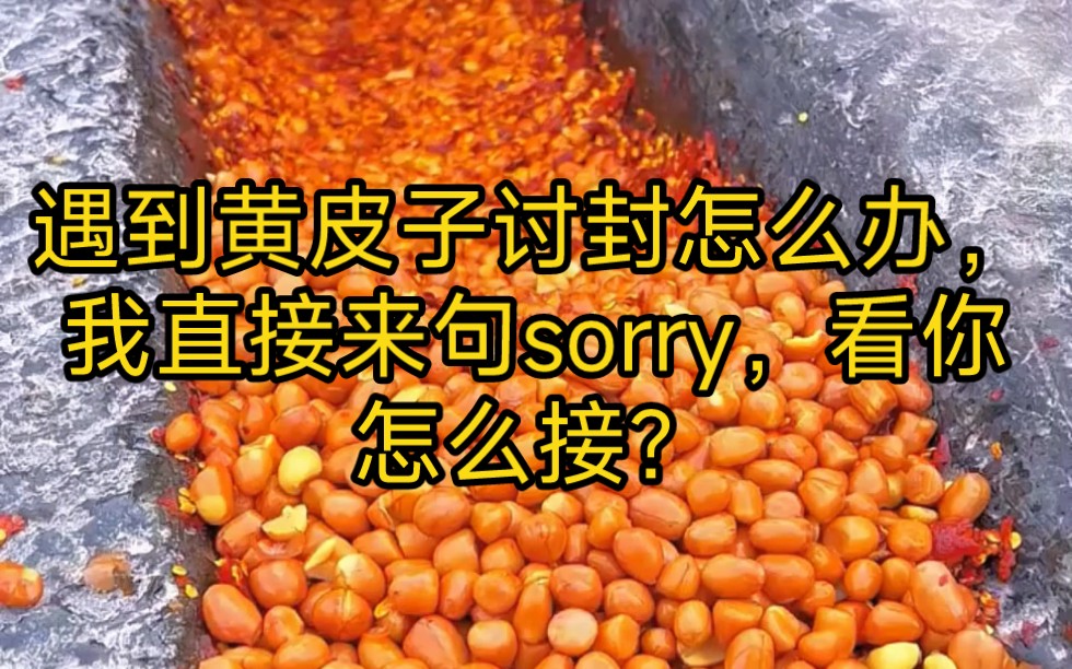 遇到黄皮子讨封怎么办,我直接来句sorry,看你怎么接?哔哩哔哩bilibili