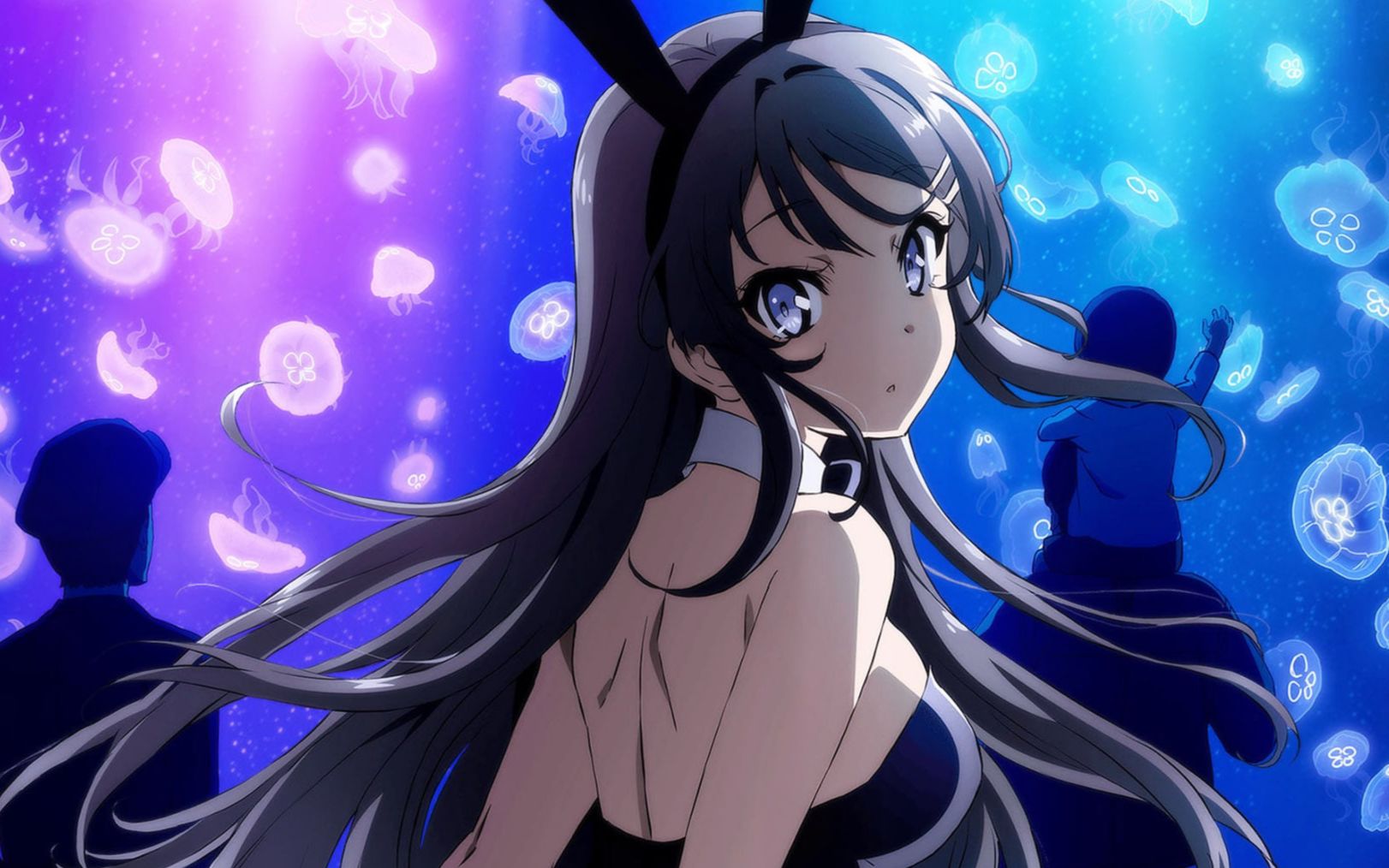 她的生日咯～青春猪头少年不会梦到兔女郎学姐系列_哔哩哔哩_bilibili