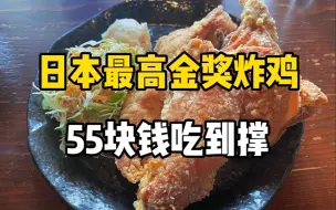 Download Video: 日本平价炸鸡专门店，55块钱的最高金赏炸鸡套餐究竟好不好吃？！