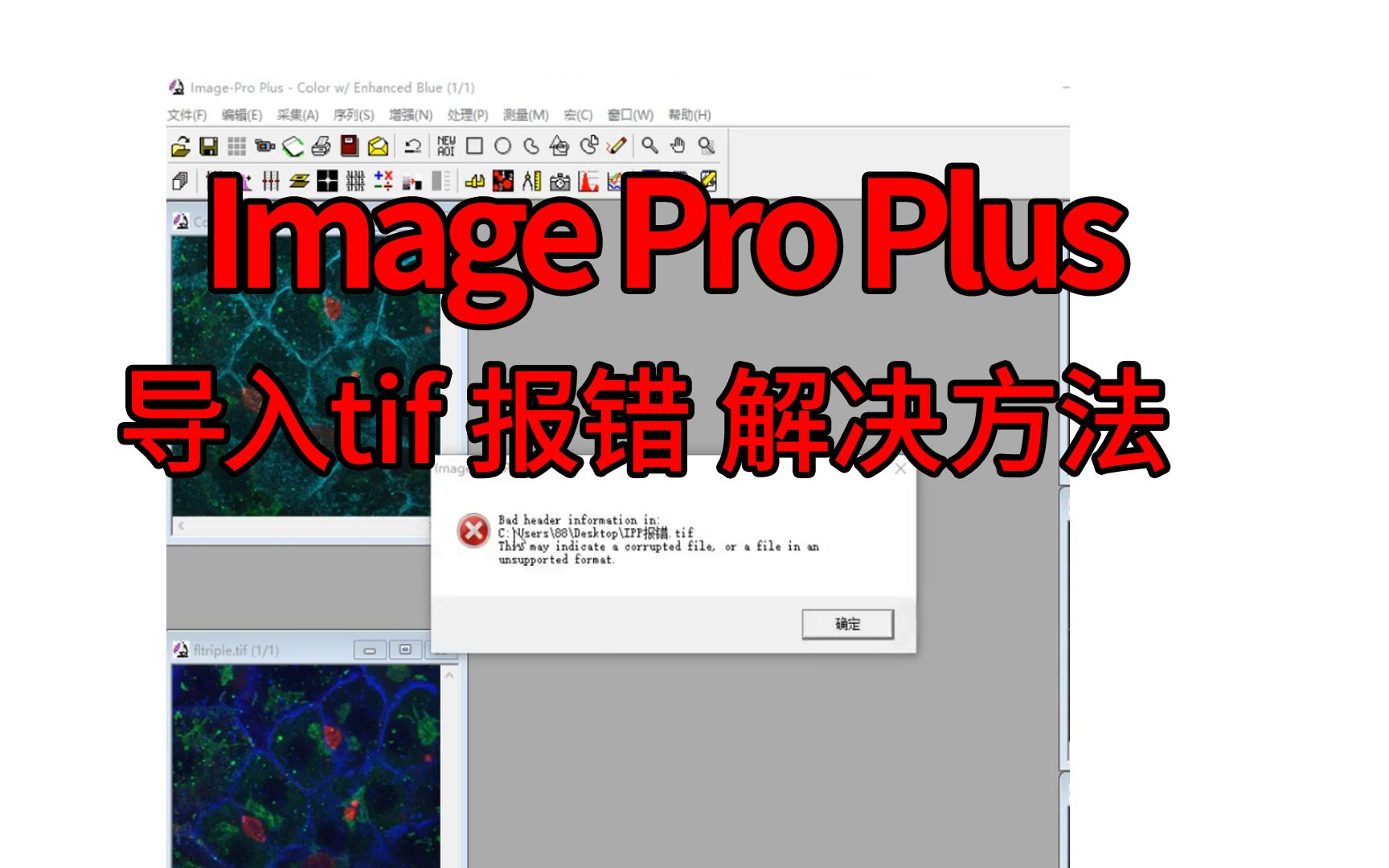 Image Pro Plus6.0导入tif图片报错解决方法,bad header imformation in.prproj哔哩哔哩bilibili