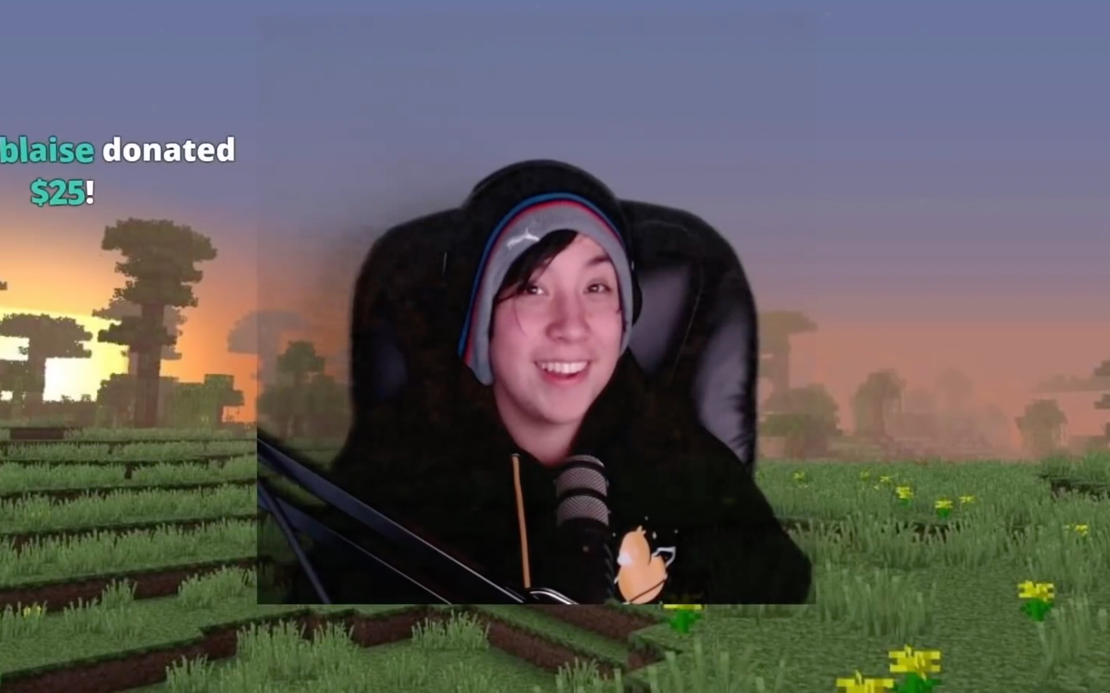 【quackity/熟肉】猫猫看向了你