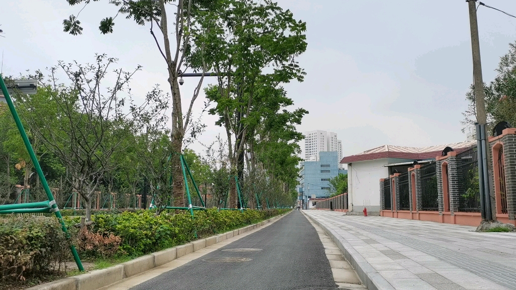 改造完成后的杨树浦路