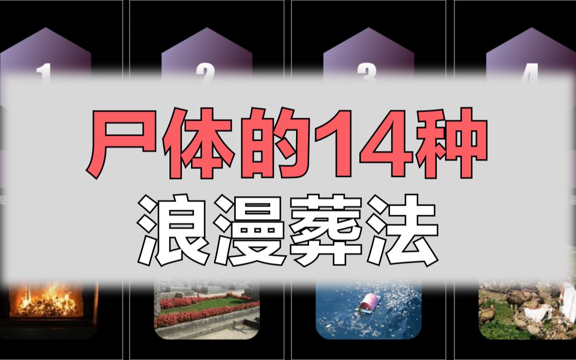 尸体的14种浪漫葬法哔哩哔哩bilibili