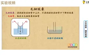 Tải video: 毛细现象