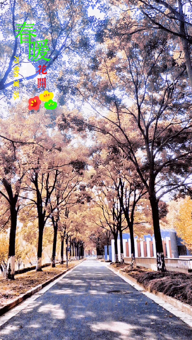 校园一年四季变化