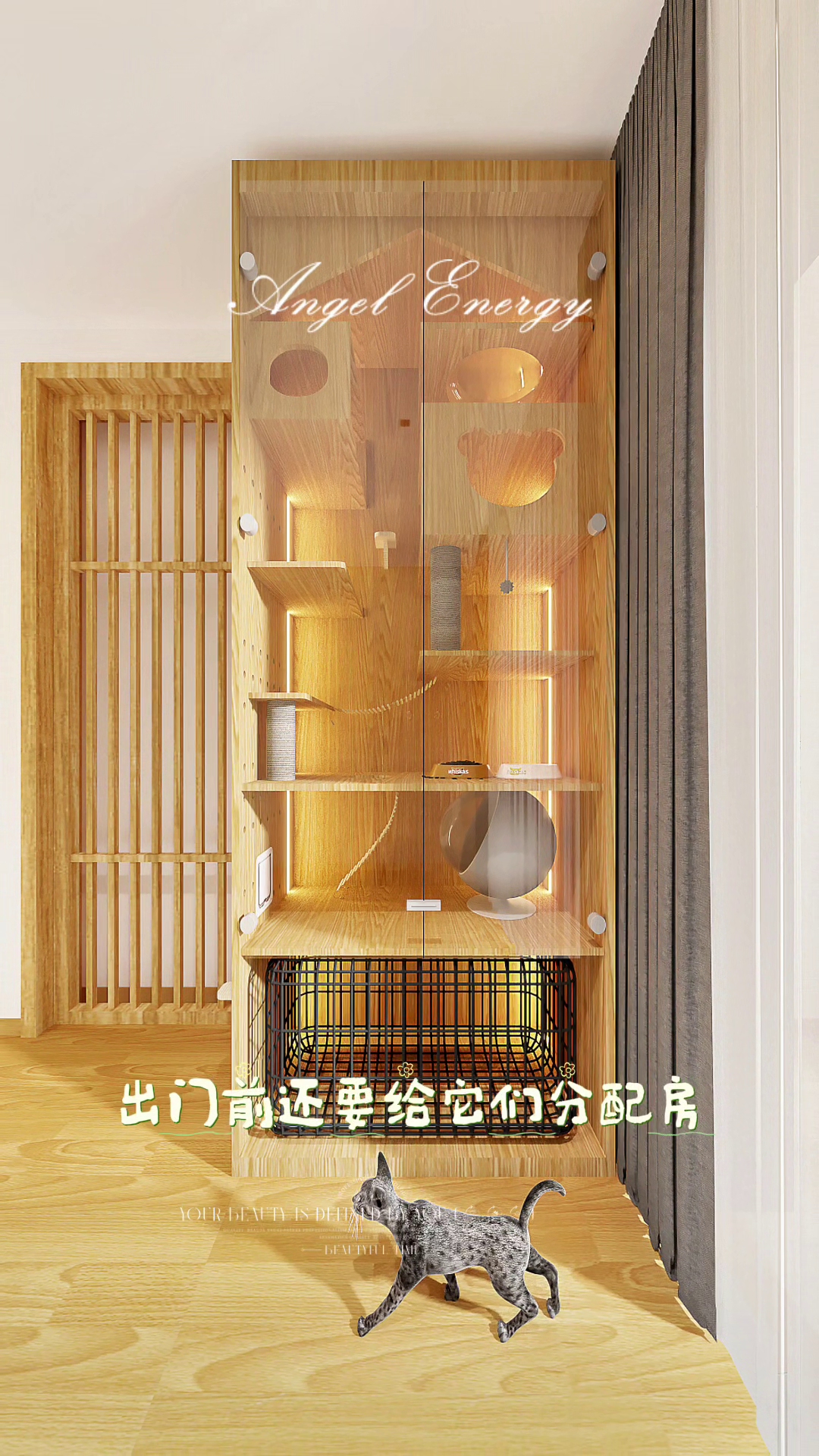 被我家猫主子狂夸的猫别墅梦中情房实锤了