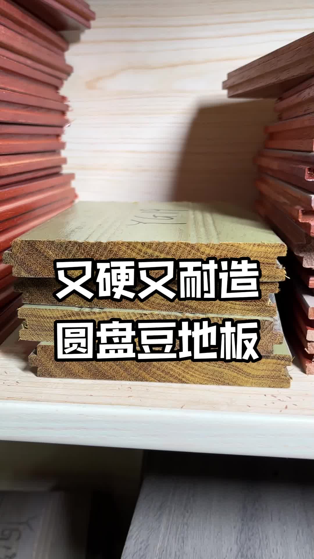 非洲硬汉地板——圆盘豆,铺在家耐砸耐造哔哩哔哩bilibili