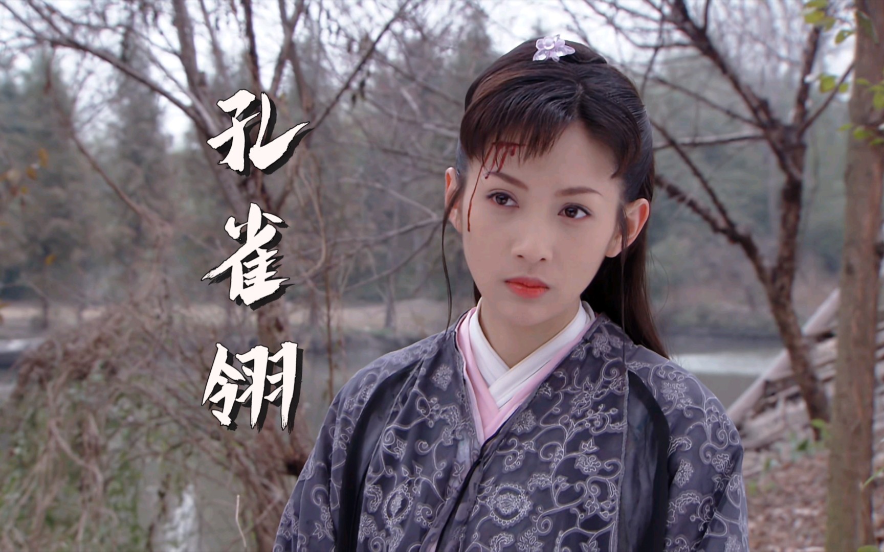 孔雀翎72女子群像丨周易最后一部武侠剧