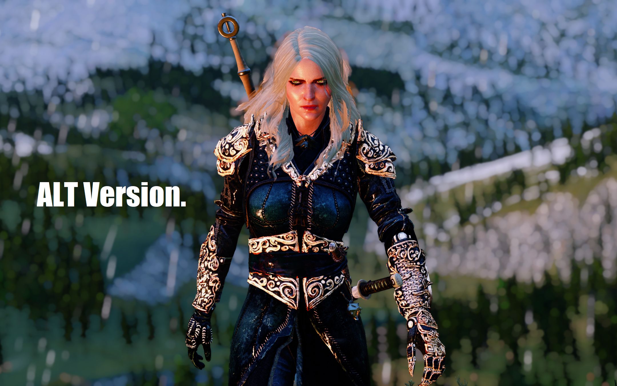 活动作品巫师3希里逃亡路之诺维格瑞迷雾重重