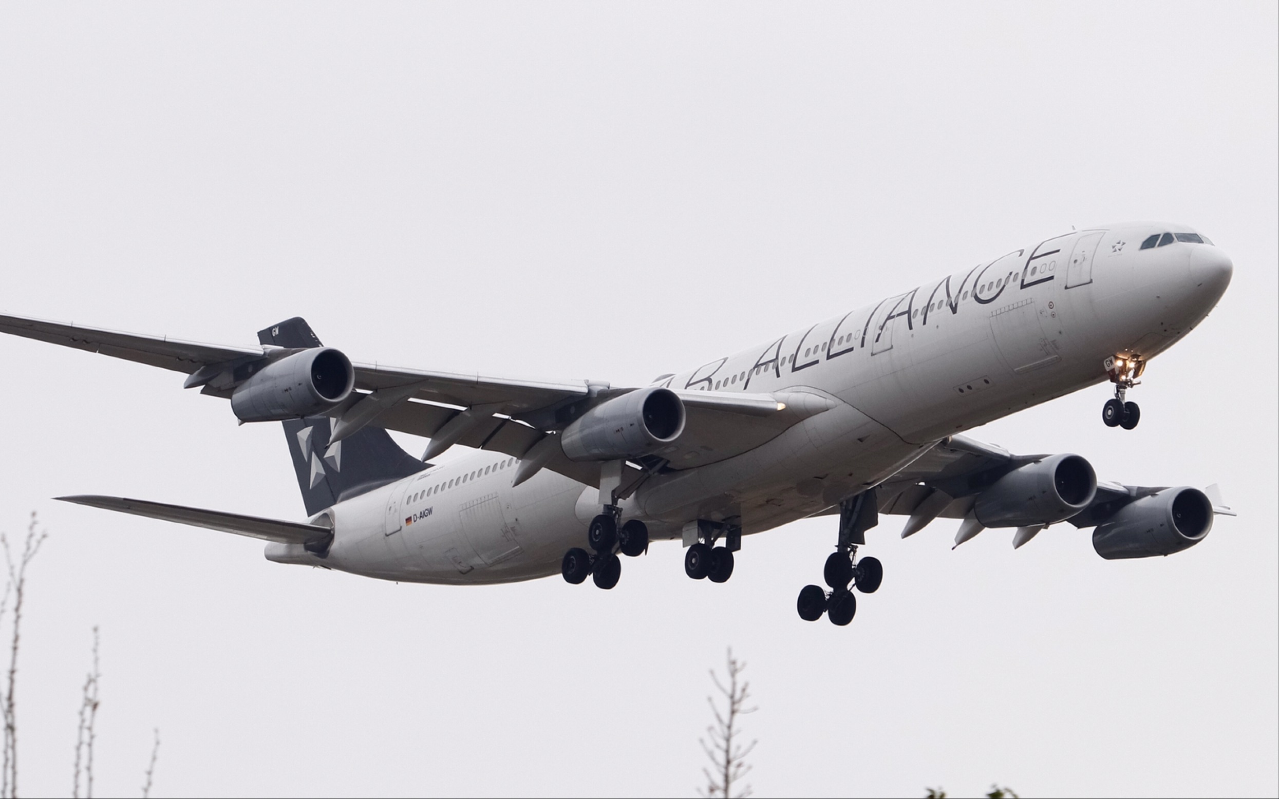 漢莎航空 a343 d-aigw 星空聯盟塗裝 pek跑道01落地