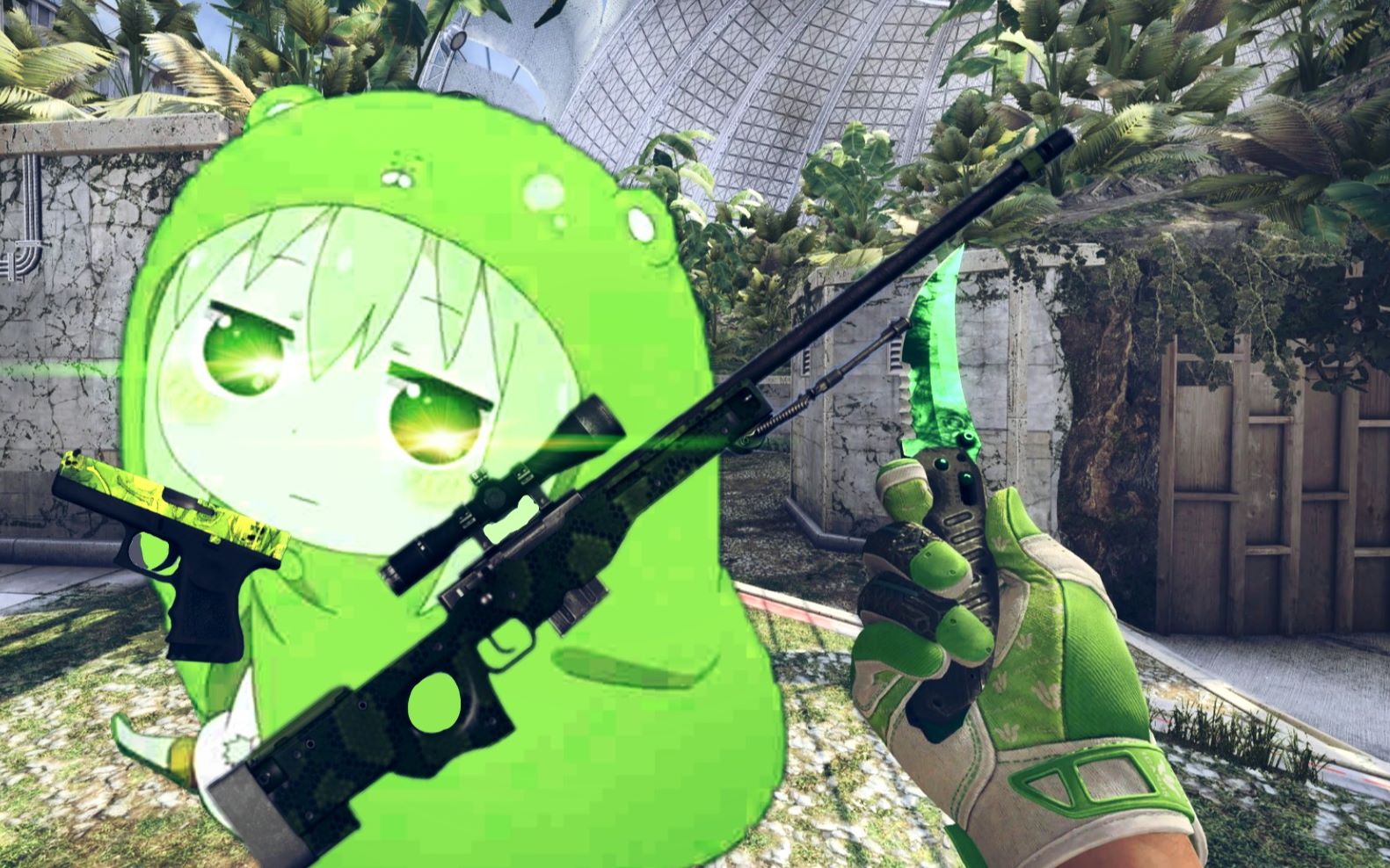 【csgo】原谅皮肤套装~狂野丛林