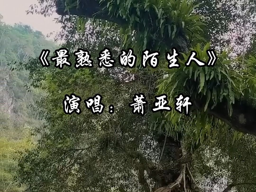 [图]《最熟悉的陌生人》萧亚轩 （从此我们变成了世界上最熟悉的陌生人）