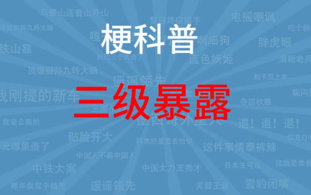 三级暴露是什么梗?【梗科普儿】哔哩哔哩bilibili