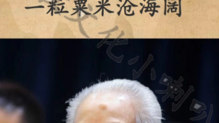 近代两位了不起的大居士元音老人和南怀瑾.两人各有所长.哔哩哔哩bilibili