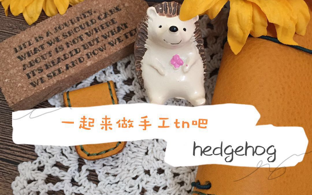 [图]【Hedgehog】一起来做手工TN吧、一本手工护照本的制作过程、可能是干货