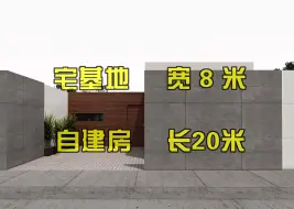 Download Video: 现代别墅|自建房|单层|面宽8米 进深20米