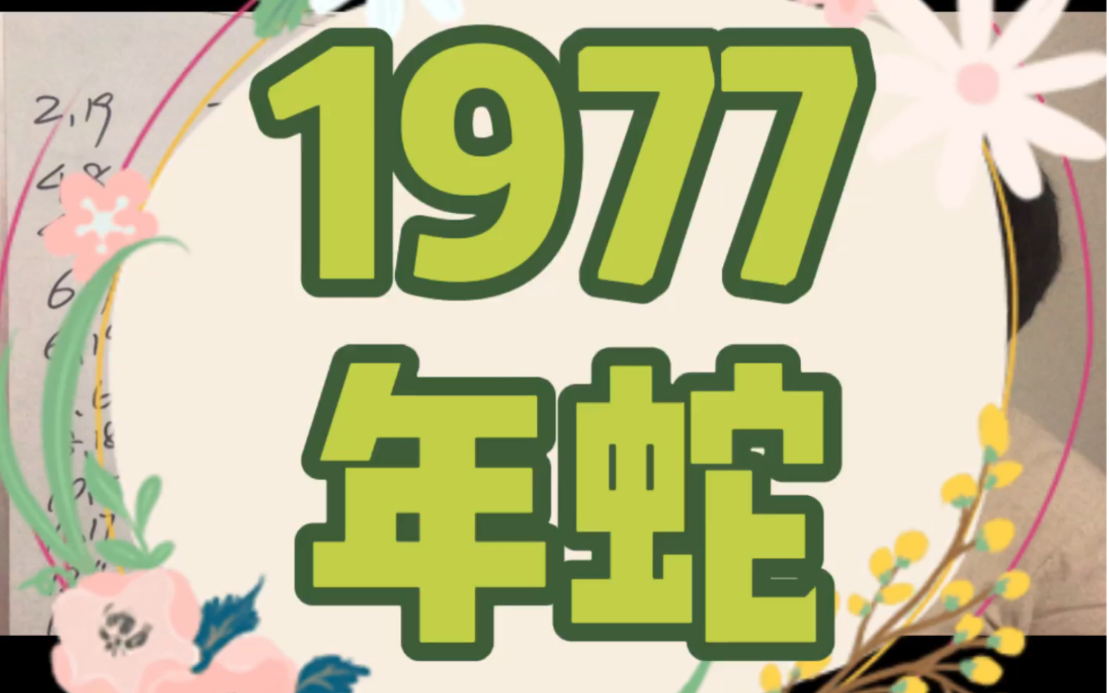 1977年蛇2021年运势哔哩哔哩bilibili