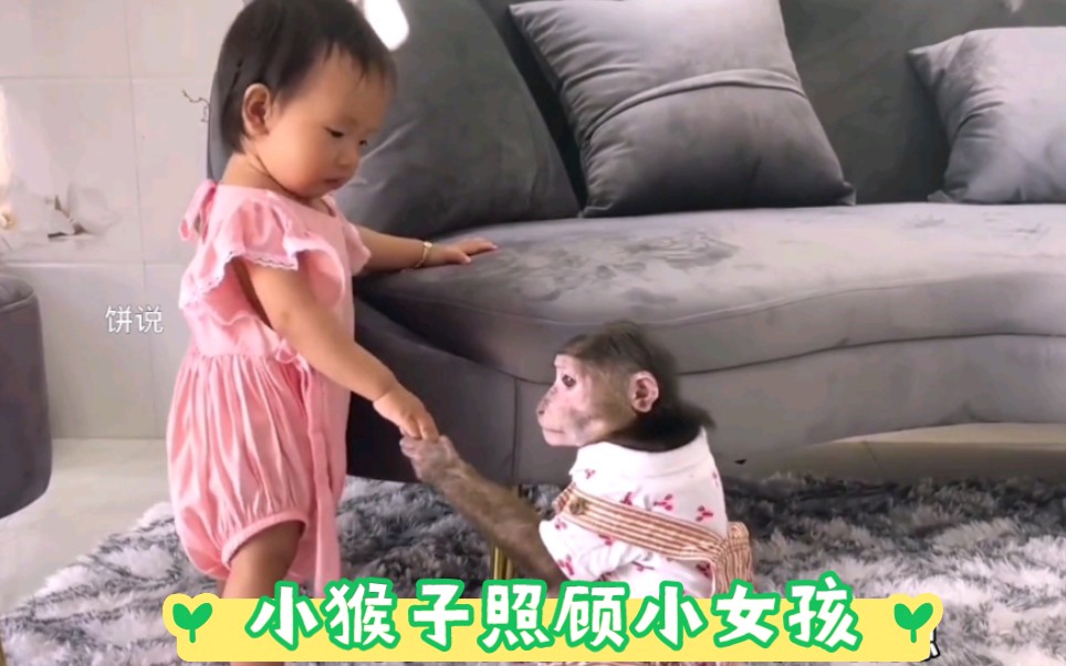 小猴子这是当保姆了么?心都被萌化了哔哩哔哩bilibili