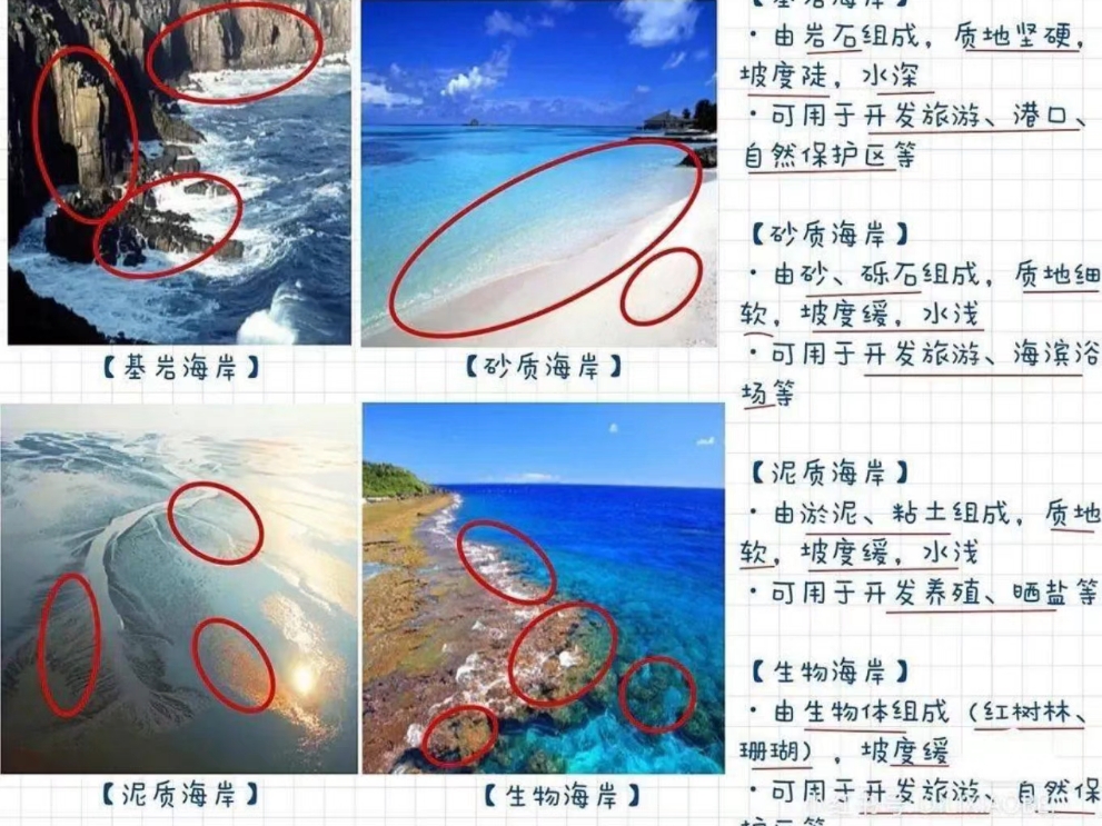 都有哪些类型的海岸?