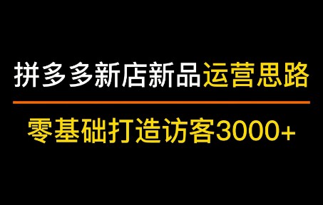 【运营思路】拼多多新品运营思路,如何从0到访客3000+哔哩哔哩bilibili