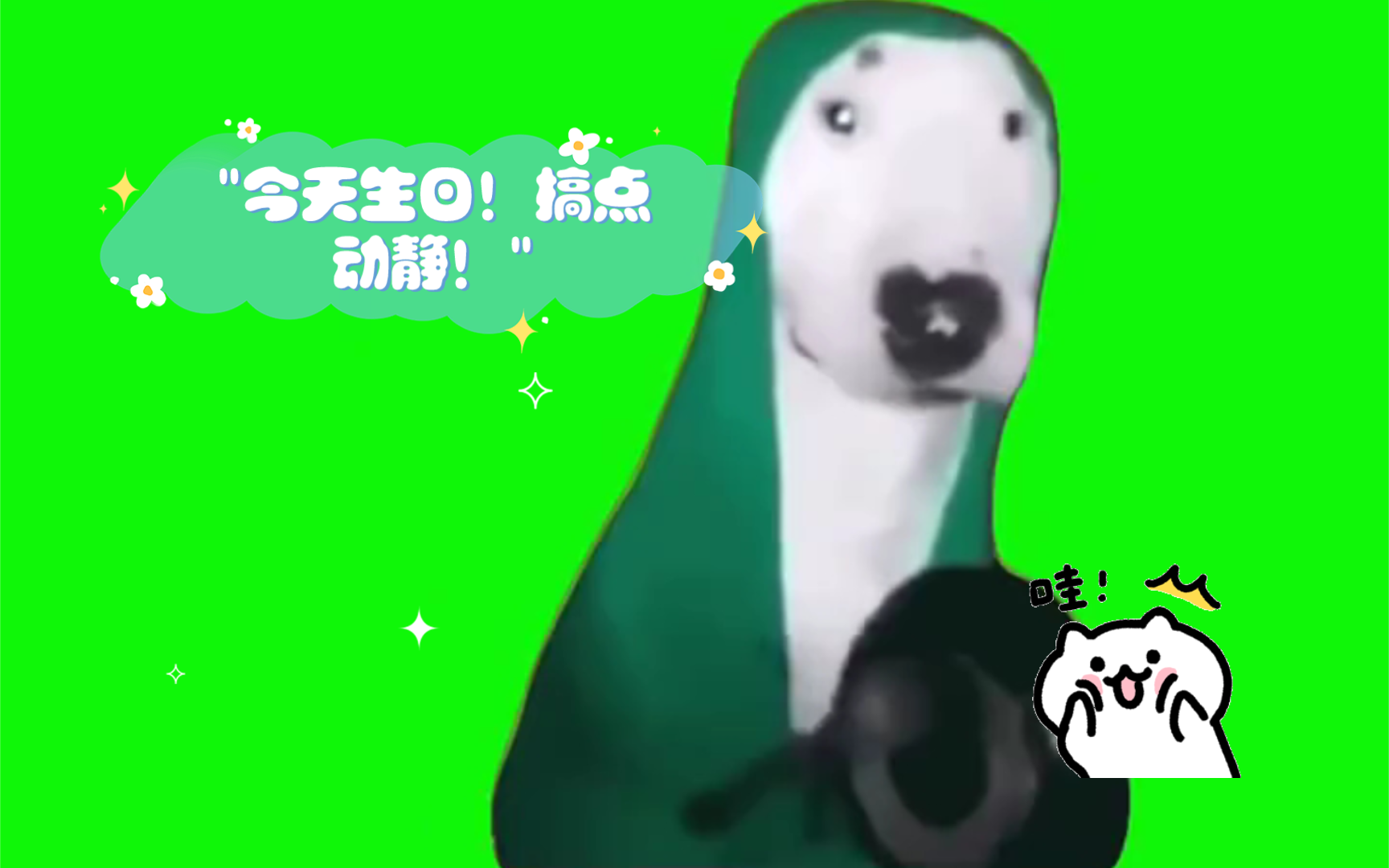 今天生日!搞点动静!