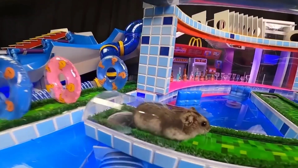 小仓鼠的水上乐园_哔哩哔哩_bilibili