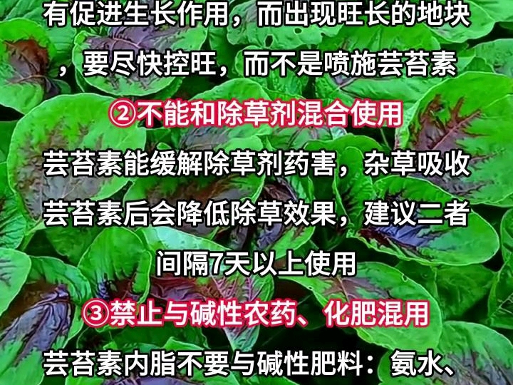 芸苔素三大使用禁忌哔哩哔哩bilibili