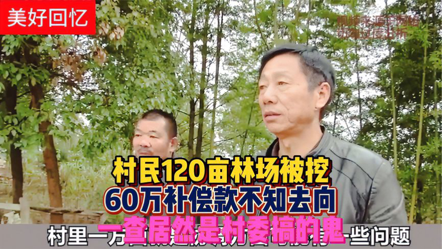 村民120亩林场被挖,60万补偿款不知去向,一查居然是村委搞的鬼哔哩哔哩bilibili