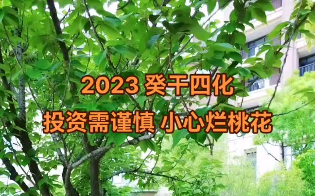 2023 癸干四化 投资需谨慎 小心烂桃花哔哩哔哩bilibili