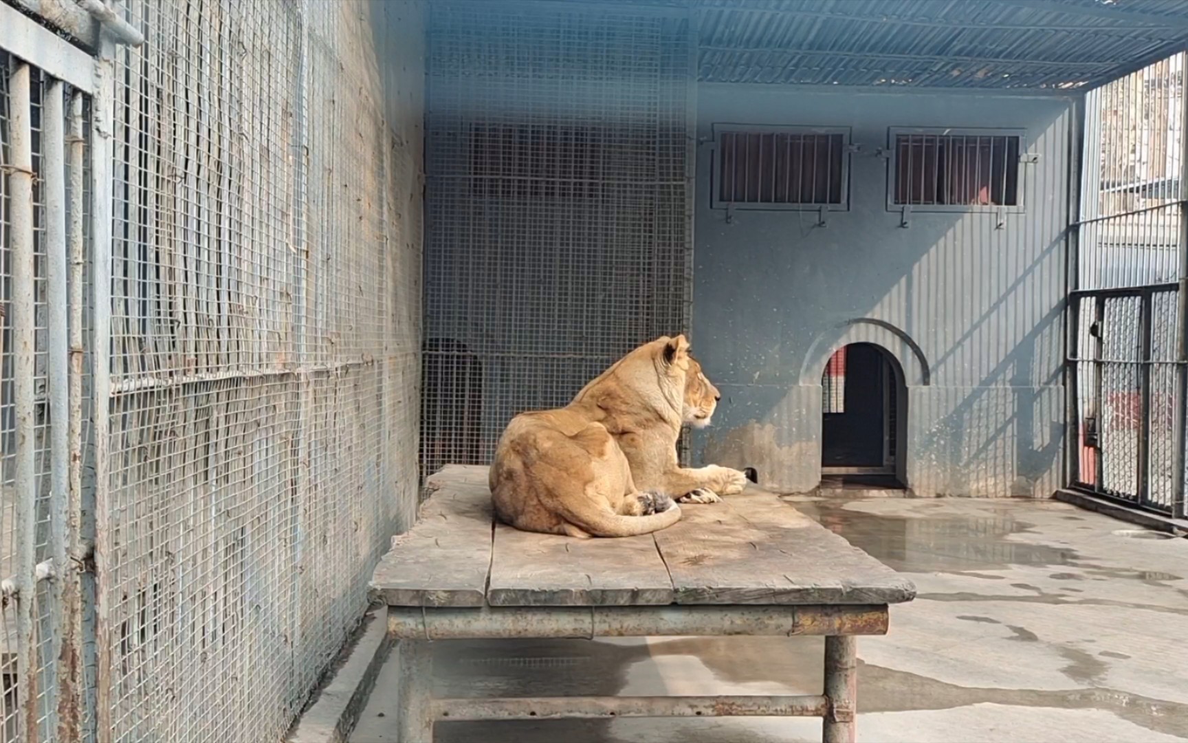 安陽人民公園動物園一日遊