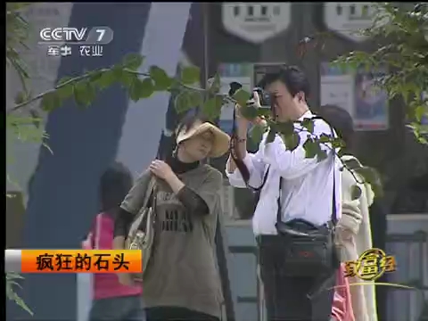 致富经1993(致富经2024在线观看)