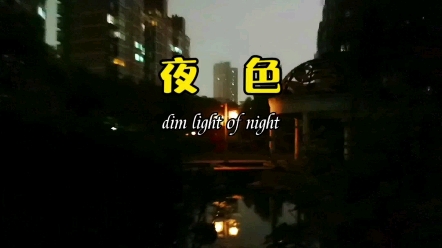 [图]夜色正阑珊