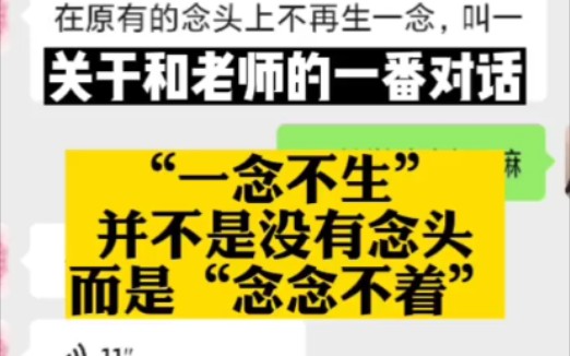 一念不生,并不是没有念头,而是念念不着——关于和老师的一番请教(武士与禅)哔哩哔哩bilibili