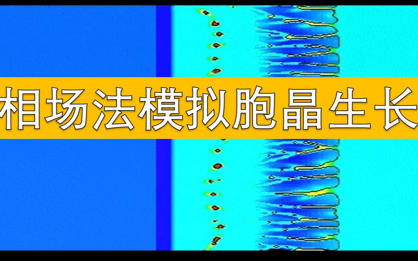 【相场模拟】2D 定向凝固胞晶 (可有偿分享计算程序 代做计算)哔哩哔哩bilibili