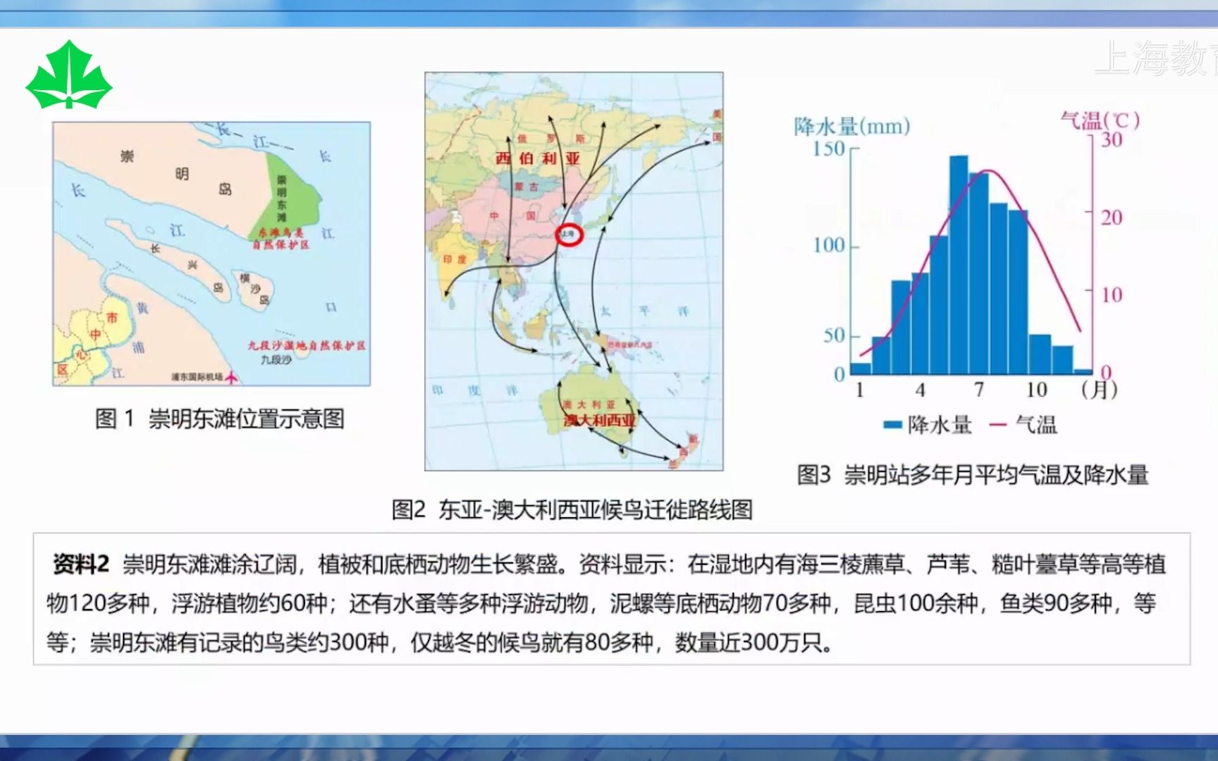 [图]崇明东滩——候鸟迁徙路上的“加油站”