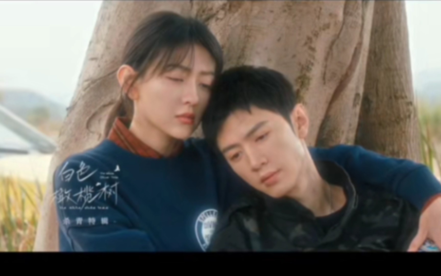 【白色橄榄树杀青】我愿为世间种下一棵白色橄榄树